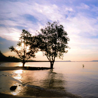 平台在线ddos压力测试