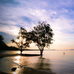 ip攻击器网页版